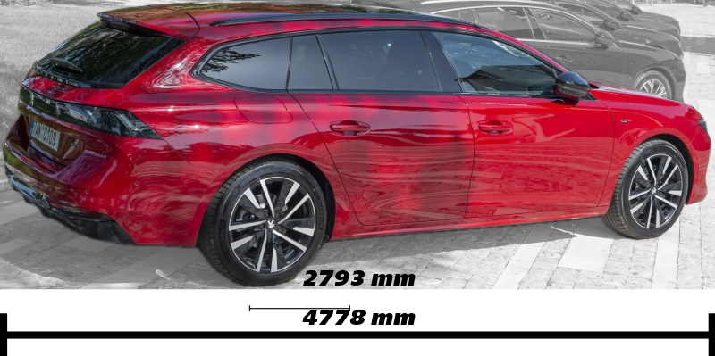 Annotated Image