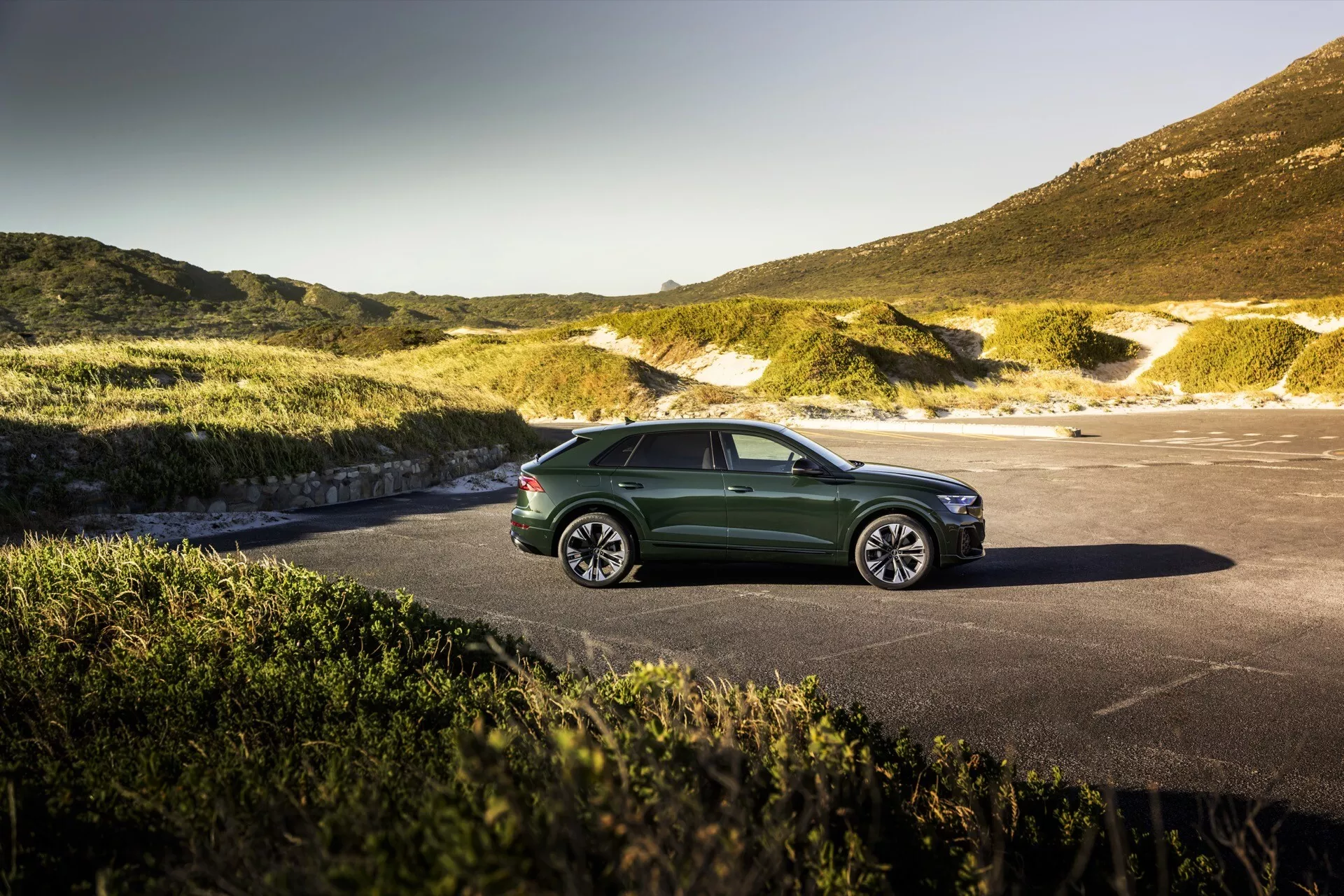Audi Q8 2023 (4M-Facelift) en vert garée montrant son design aérodynamique élégant et phares LED contre un arrière-plan naturel pittoresque, possiblement côtier ou montagneux, sous un ciel dégagé