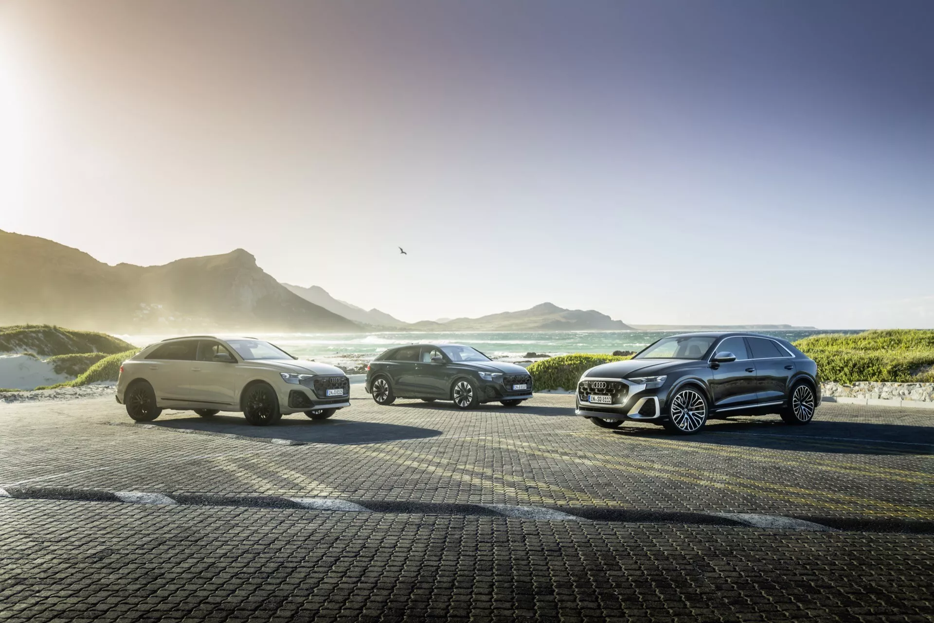 Modèles Audi Q8 2023 (4M-Facelift) alignés en formation décalée sur un pavement semblable à des pavés au bord de la mer au lever du soleil, présentant les designs avant, les détails des roues et les effets d'éclairage