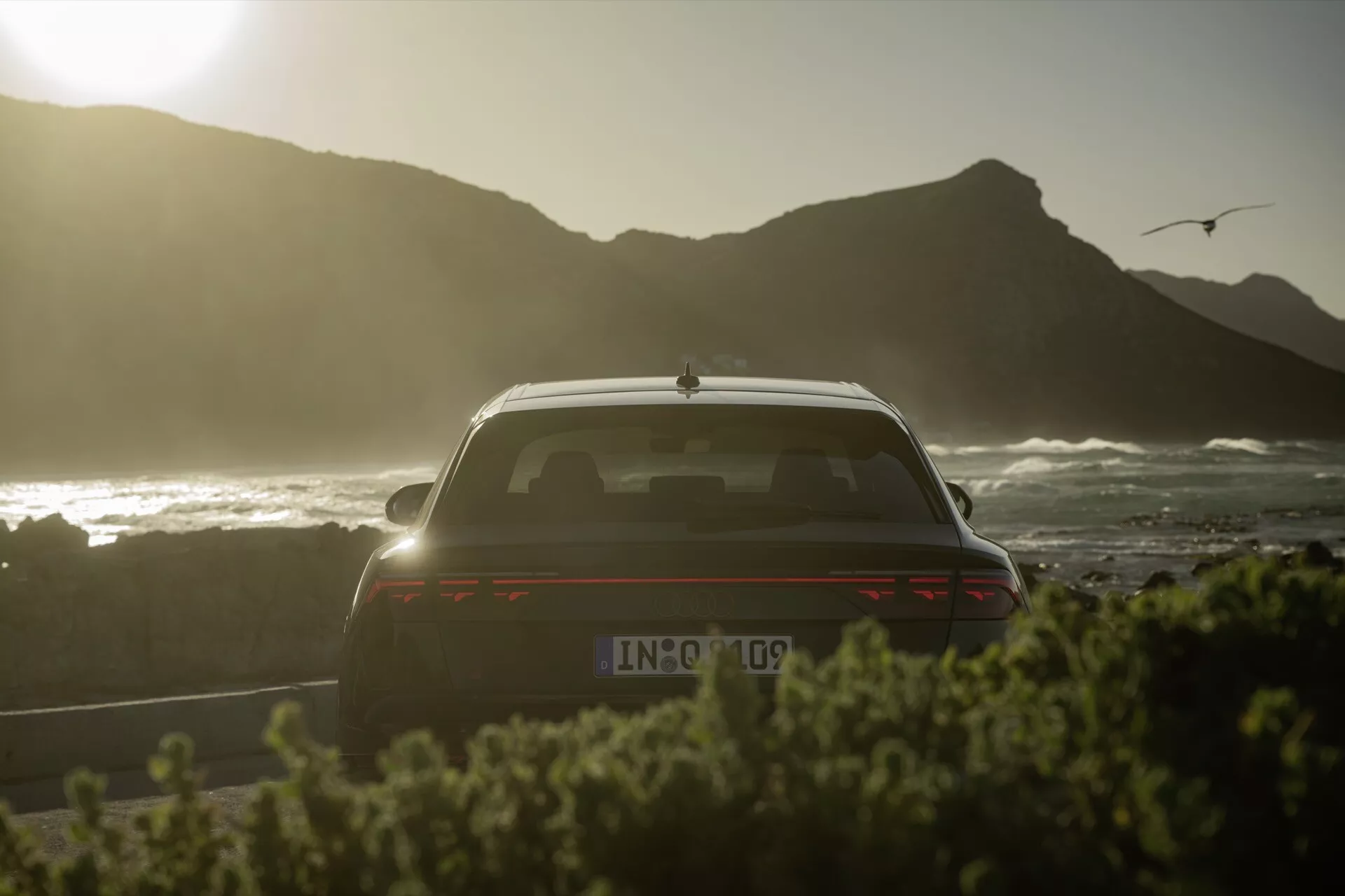 Vue arrière de l'Audi Q8 2023 (4M-Facelift) mettant en avant le couvercle du coffre, la fenêtre arrière, une partie du toit avec effet de silhouette au coucher du soleil, un arrière-plan côtier avec une mouette, un spoiler, des feux arrière horizontaux illuminés, une possible caméra de recul, et une antenne aileron de requin