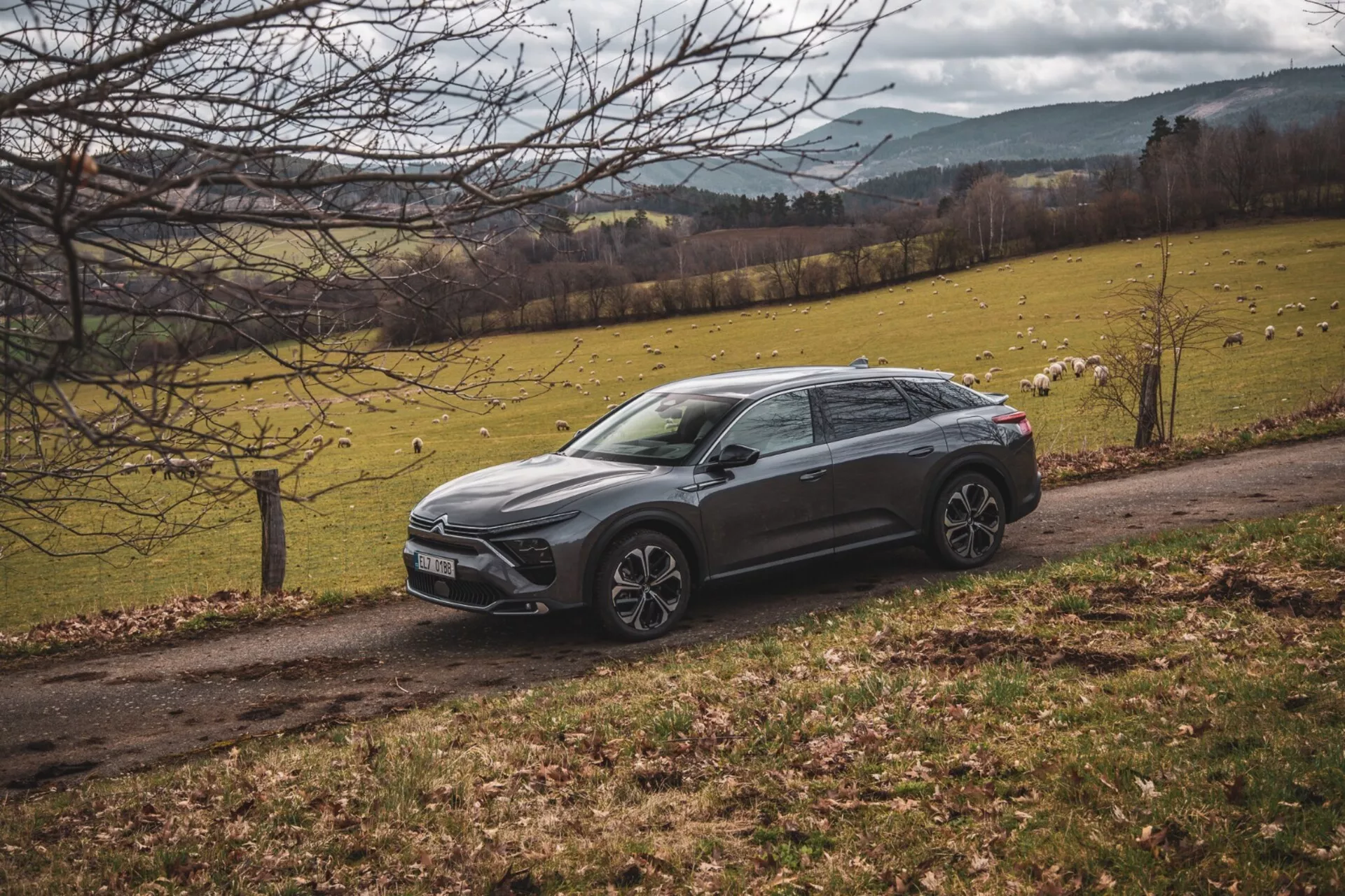 Citroen C5-X 2022 garée en diagonale dans un paysage campagnard avec un champ herbeux et des arbres, montrant son design crossover surélevé, lignes épurées de la carrosserie, couleur sombre, jantes en alliage et phares LED