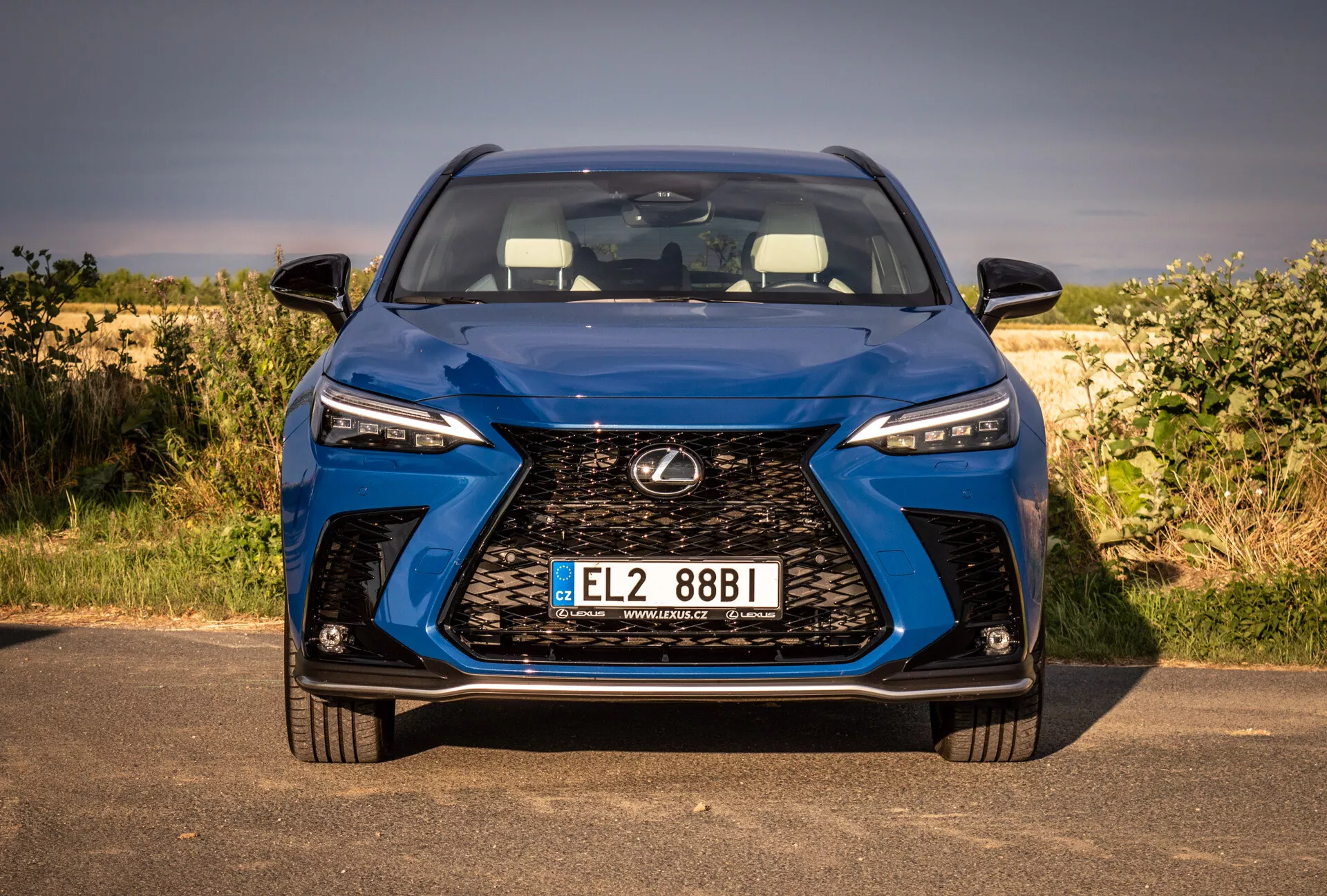 Vue frontale rapprochée du Lexus NX 2021 montrant une grande grille, des phares LED et une plaque d'immatriculation, axée sur le design et la technologie dans un cadre naturel.