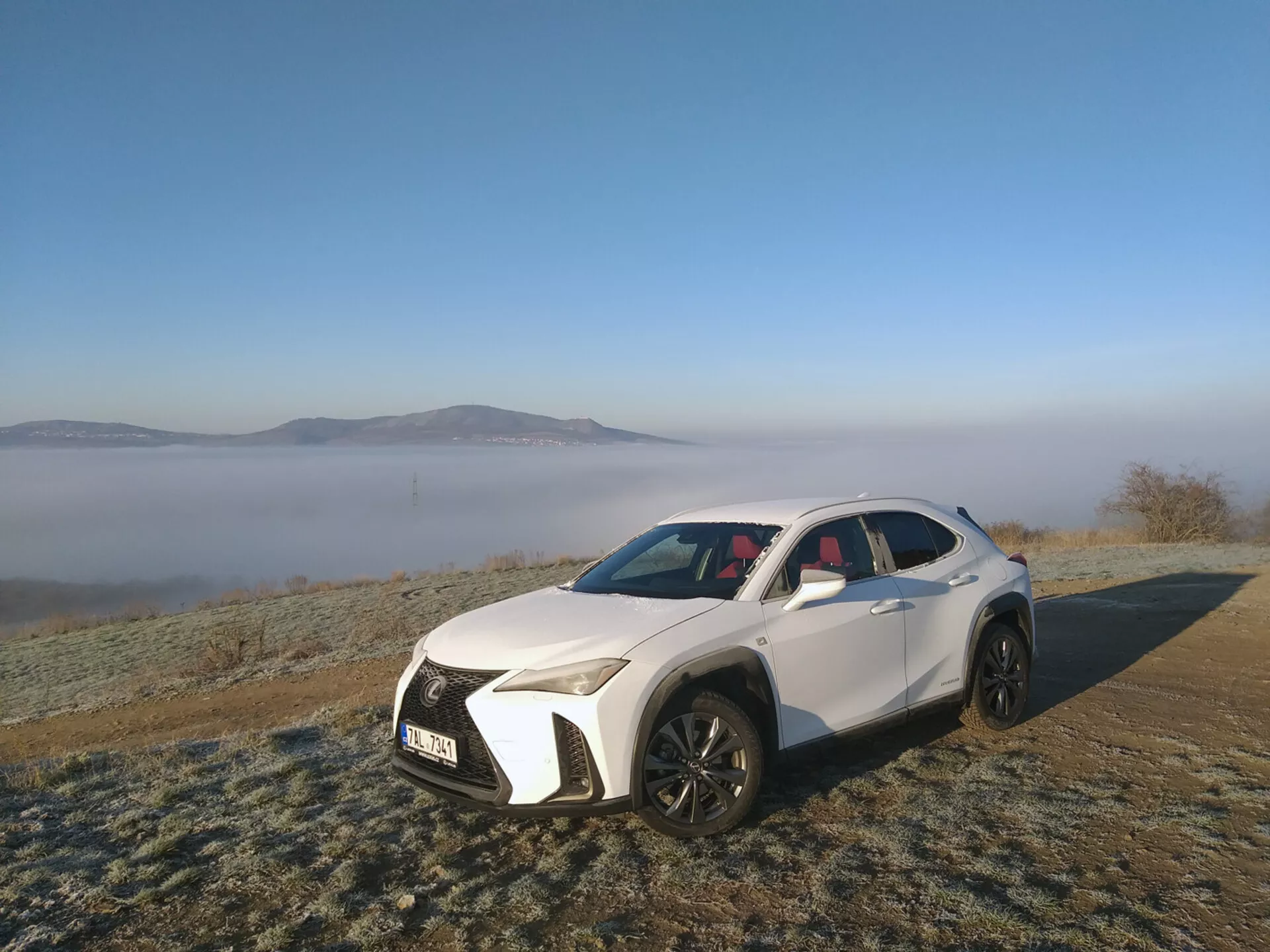 Véhicule utilitaire sportif blanc Lexus UX 2019 stationné en extérieur sur de l'herbe recouverte de gel, présentant ses phares LED angulaires, sa grande grille à motif en maille, ses prises d'air sportives, son capot profilé, ses roues en alliage multi-branches noires, son toit ouvrant panoramique et ses éléments de design contemporain dans un décor matinal brumeux.
