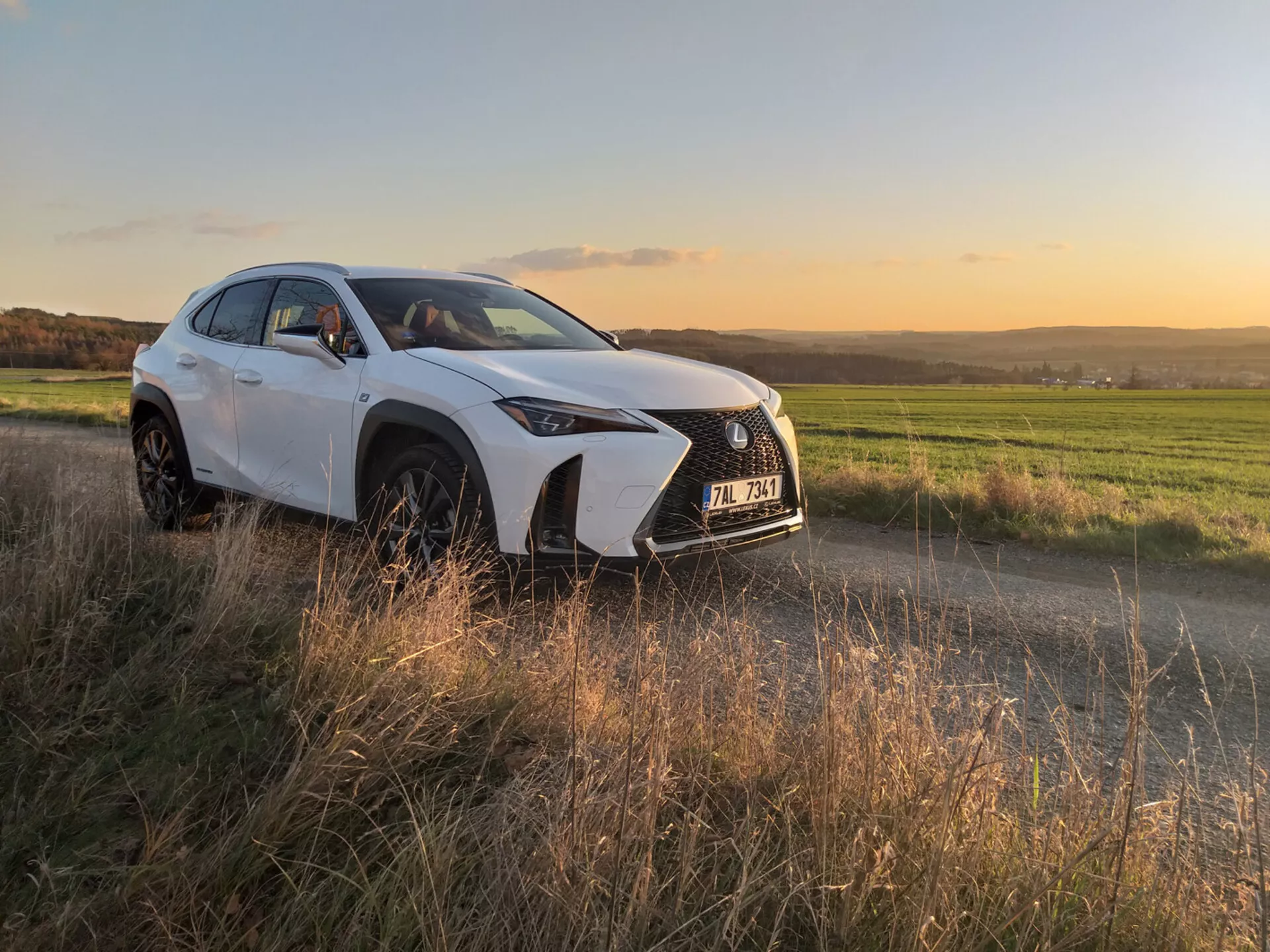 Crossover de luxe compact Lexus UX 2019 en mouvement dans une rue de la ville, mettant en avant son design élégant et ses caractéristiques avancées