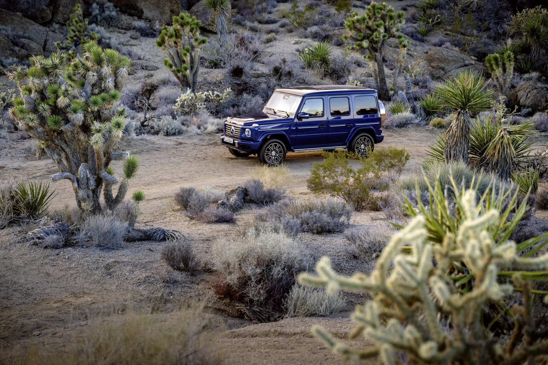 SUV Mercedes-Benz Classe G 2024 en bleu, avec un design carré et robuste, garé hors route parmi les arbres de Josué et les buissons dans un paysage désertique, soulignant sa garde au sol élevée, ses passages de roue carrés, ses phares ronds et sa ligne de ceinture prononcée.