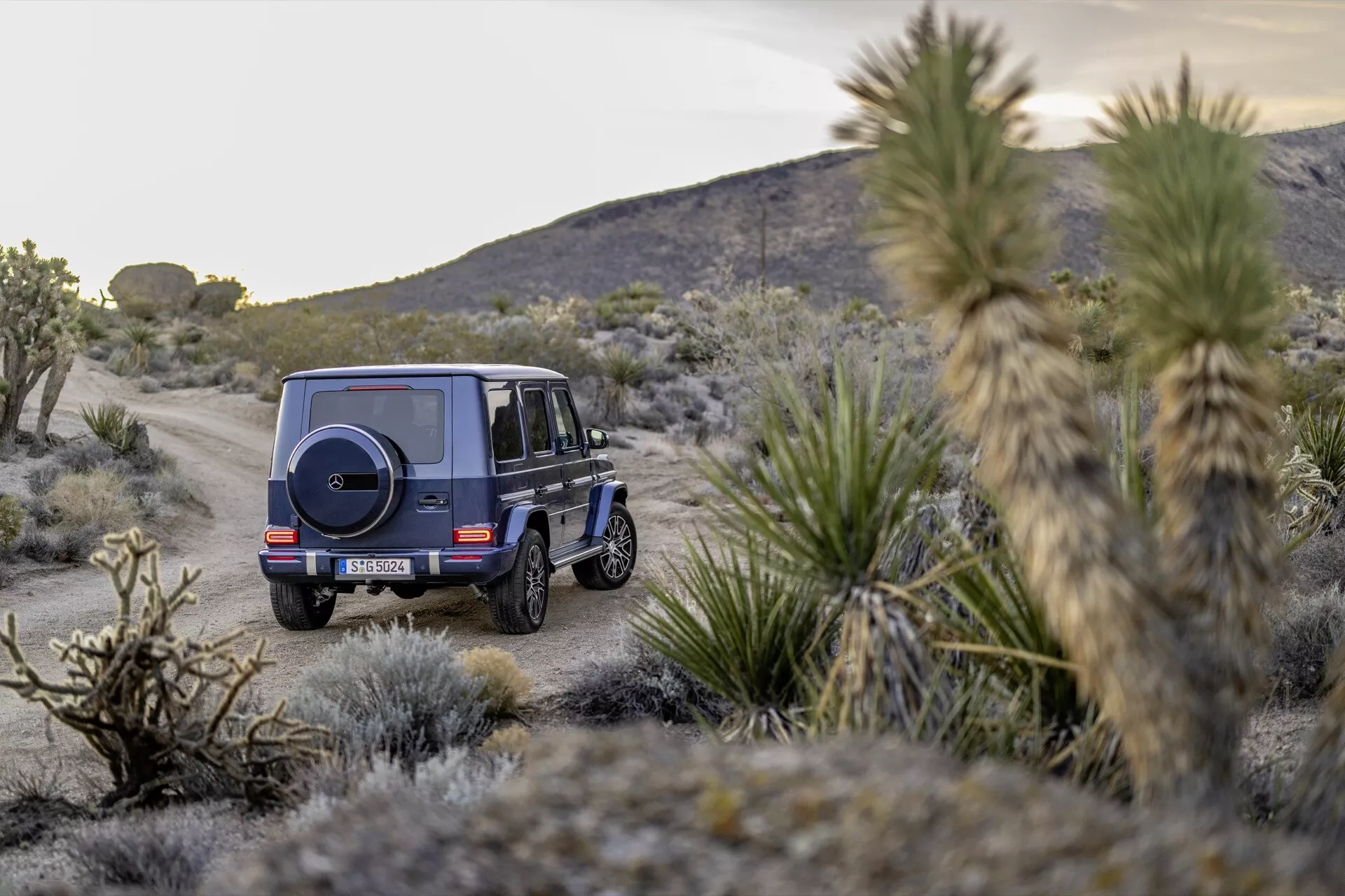 SUV Mercedes-Benz Classe G (G-Klasse) 465 de 2024 garé dans un paysage désertique avec de la végétation buissonnante, pris depuis une perspective arrière trois quarts mettant en évidence son design cubique, son assemblage de feux arrière, sa roue de secours, sa garde au sol élevée et sa technologie d'éclairage moderne lors d'un lever ou coucher de soleil.