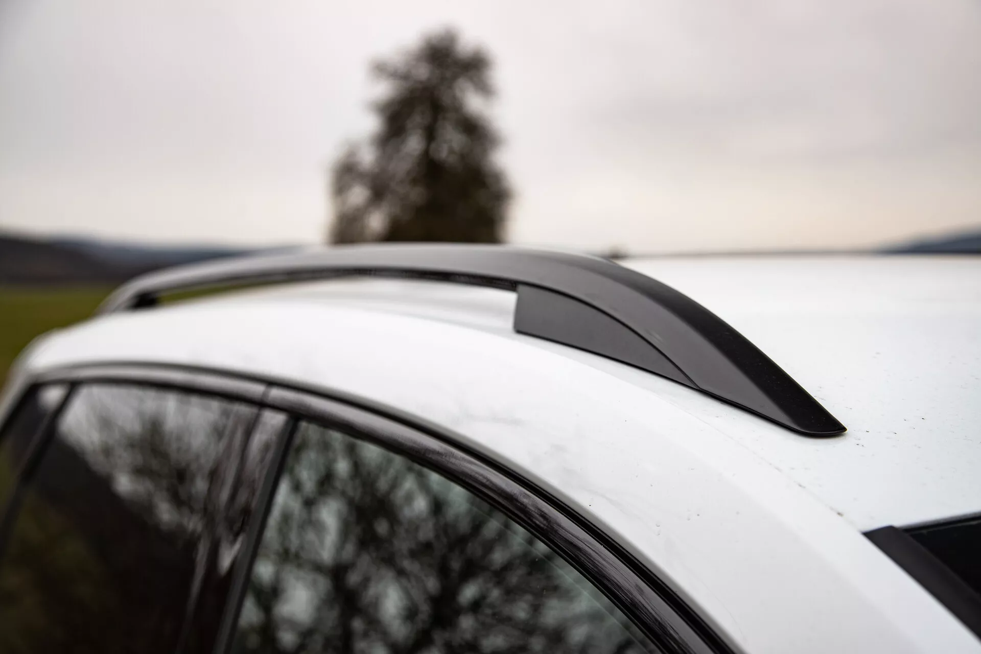 Vue rapprochée d'une Skoda Karoq 2021 mettant en évidence le spoiler de toit, le toit blanc avec un toit ouvrant panoramique et les barres de toit intégrées contre un arrière-plan d'un arbre et de ciels couverts, soulignant la conception aérodynamique du véhicule, les caractéristiques de luxe et les capacités utilitaires.