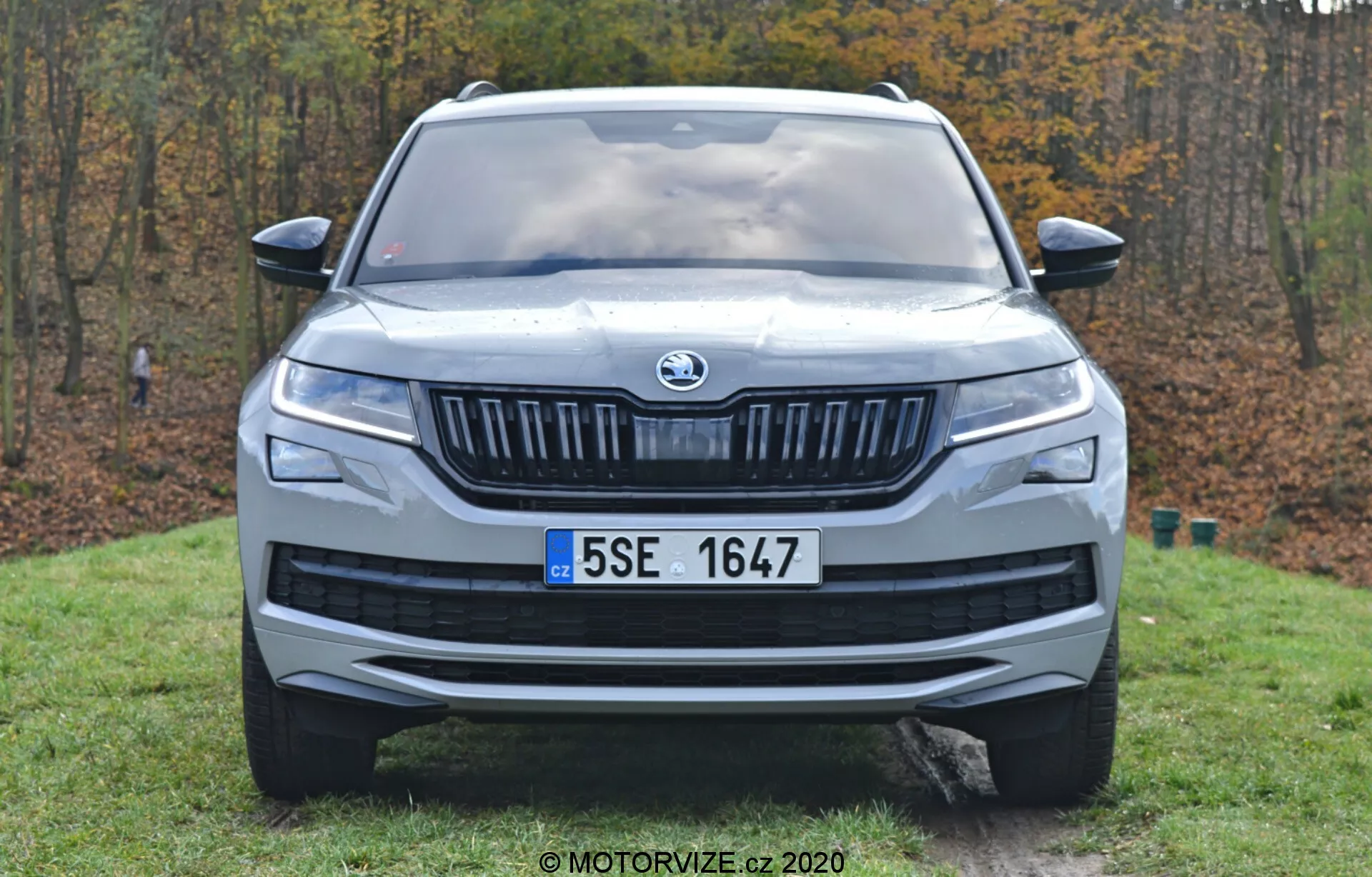 Vue de face d'une Škoda Kodiaq 2017 positionnée sur une zone herbeuse avec des arbres en arrière-plan, mettant en valeur son emblème proéminent, sa grille à lames horizontales, ses phares étroits, sa plaque d'immatriculation centralement montée, son capot profilé et son design aérodynamique de pare-chocs, capturée en lumière naturelle.