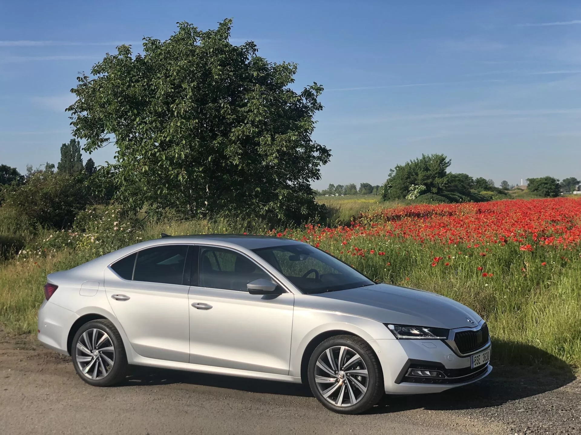 Image d'une berline Skoda Octavia 2020 argentée, garée en diagonale sur une route vue sous un angle latéral-avant, mettant en évidence le design moderne, les contours profilés, la calandre proéminente, les phares à LED, les feux de jour, les roues en alliage à multiples rayons, le toit ouvrant, les rétroviseurs couleur carrosserie avec clignotants intégrés et les garnitures chromées. L'arrière-plan montre un paysage vert avec des coquelicots rouges et un ciel bleu clair, suggérant un cadre rural par une journée ensoleillée.