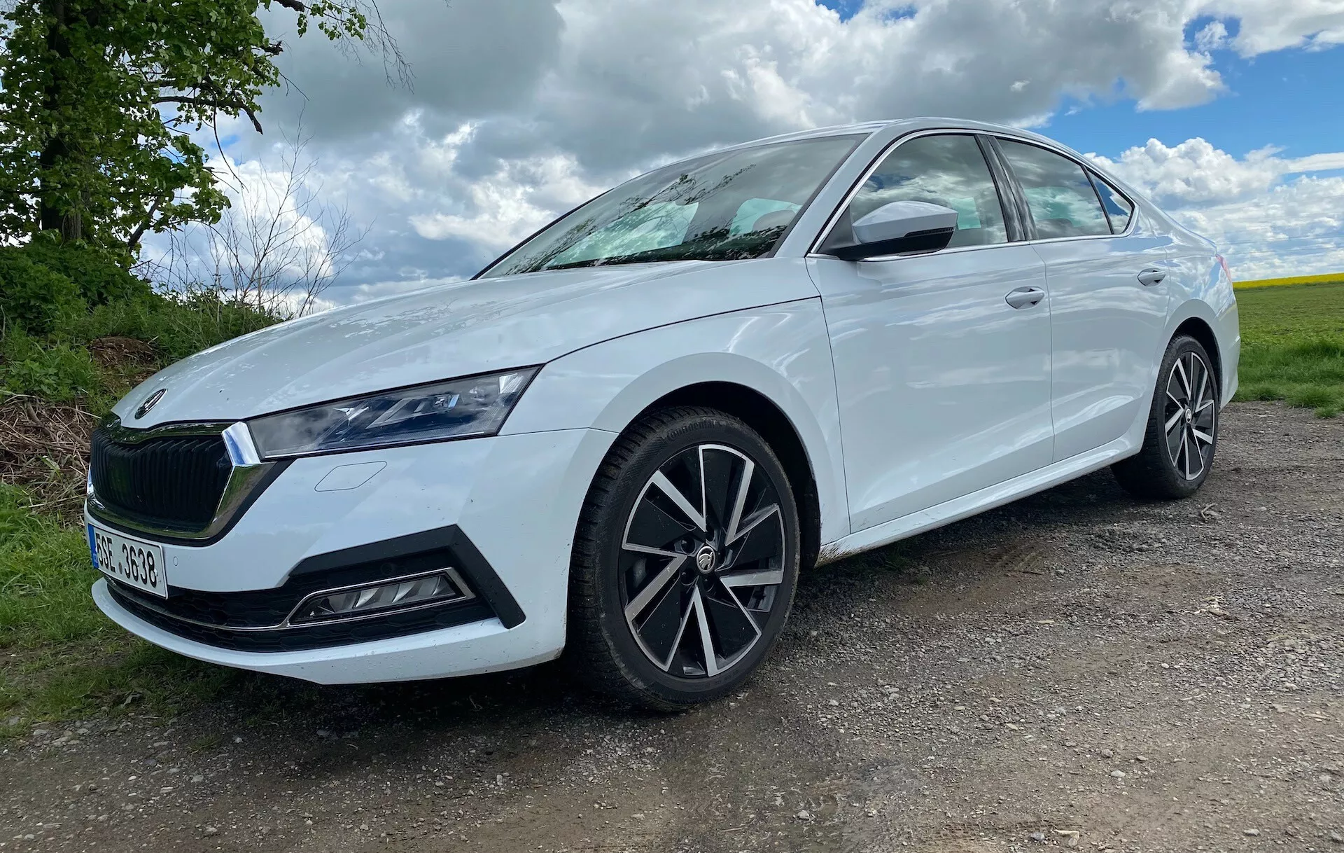 Cette image montre une Skoda Octavia limousine 2020 vue sous un angle frontal trois quarts bas, mettant en avant sa calandre, ses phares et la conception de sa roue avant. Prise depuis le niveau du sol, la prise de vue accentue la posture de la voiture, la rendant plus imposante. Elle montre le côté gauche du véhicule sous un angle légèrement frontal, offrant un aperçu de son avant et de son profil latéral. La berline blanche est photographiée en plein jour, avec un arrière-plan suggérant un cadre rural avec de la végétation et un ciel partiellement nuageux en milieu de journée. Le design élégant des phares avec des feux de jour à LED, la calandre distinctive avec l'emblème de la marque, les jantes en alliage multi-branches et les rétroviseurs avec clignotants intégrés sont bien visibles, ainsi que des éléments suggérant des prises d'air ou des capteurs de sécurité sur le pare-chocs avant. La voiture semble neuve ou bien entretenue, avec des vitres légèrement teintées et une finition soignée, adaptée pour des annonces de vente ou des critiques automobiles.