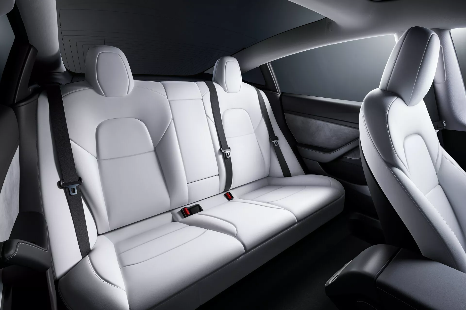 Intérieur de la Tesla Model 3 2019 montrant les sièges avant et arrière avec une vue diagonale élevée, avec des sièges ergonomiques en cuir ou similicuir avec appuis-tête réglables, renforts latéraux pour le confort et la sécurité, design bicolore avec accents élégants et ceintures de sécurité visibles, panneaux de porte avec haut-parleurs intégrés et unités de contrôle électrique.